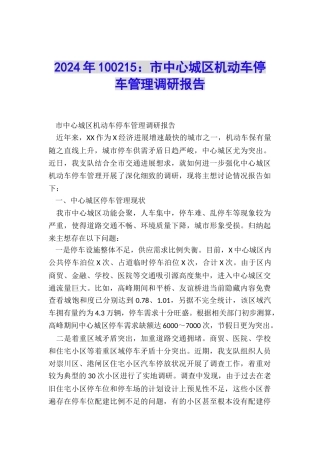 2024年100215：市中心城区机动车停车管理调研报告