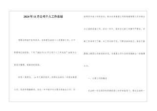 2024年11月公司个人工作总结