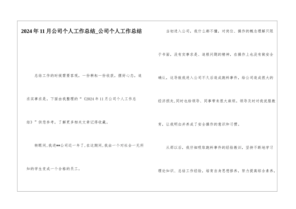 2024年11月公司个人工作总结公司个人工作总结_第1页