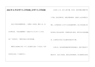 2024年11月公司个人工作总结公司个人工作总结