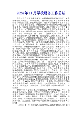 2024年11月学校财务工作总结
