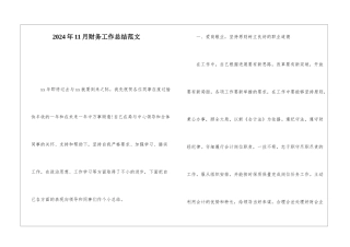 2024年11月财务工作总结范文