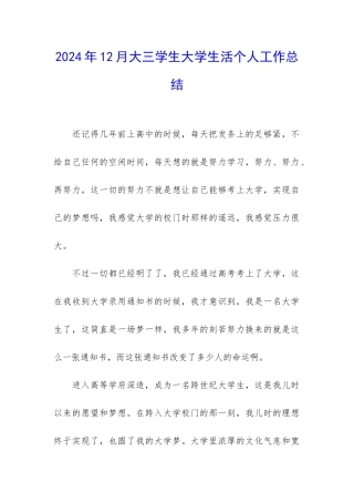 2024年12月大三学生大学生活个人工作总结