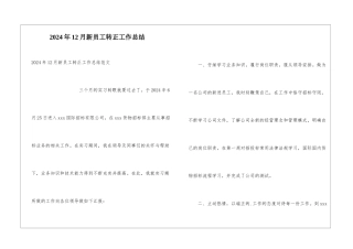 2024年12月新员工转正工作总结