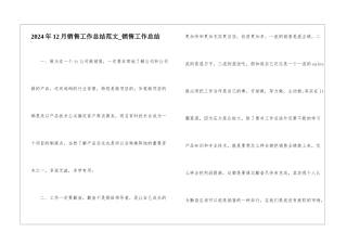 2024年12月销售工作总结范文-销售工作总结