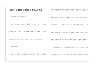 2024年6月销售工作总结5-销售工作总结