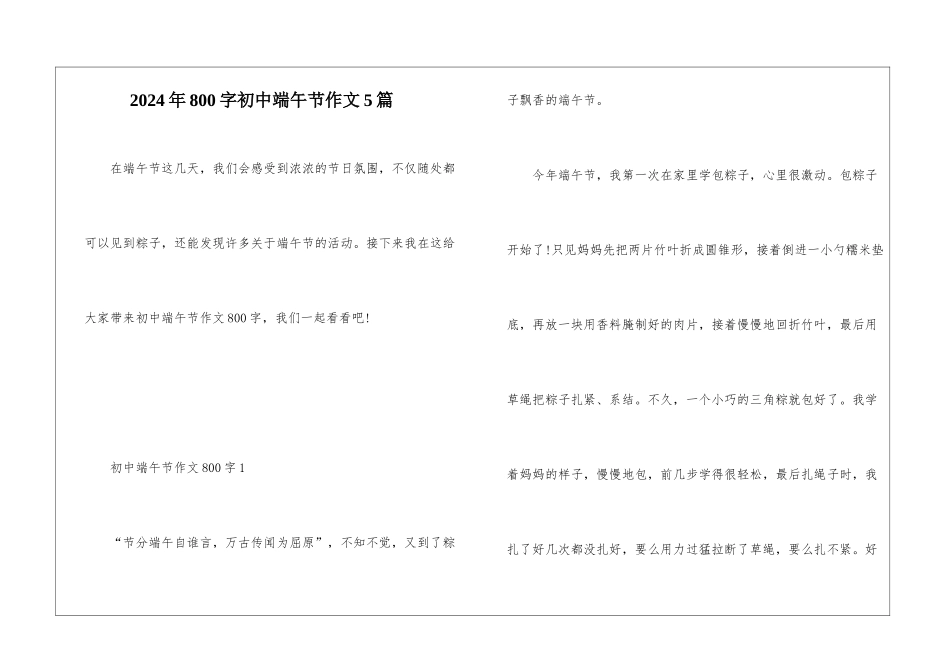 2024年800字初中端午节作文5篇_第1页
