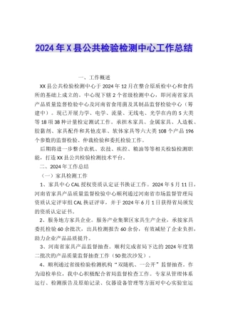 2024年X县公共检验检测中心工作总结