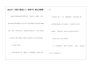 2024年一年级下册语文《一粒种子》课文及教案