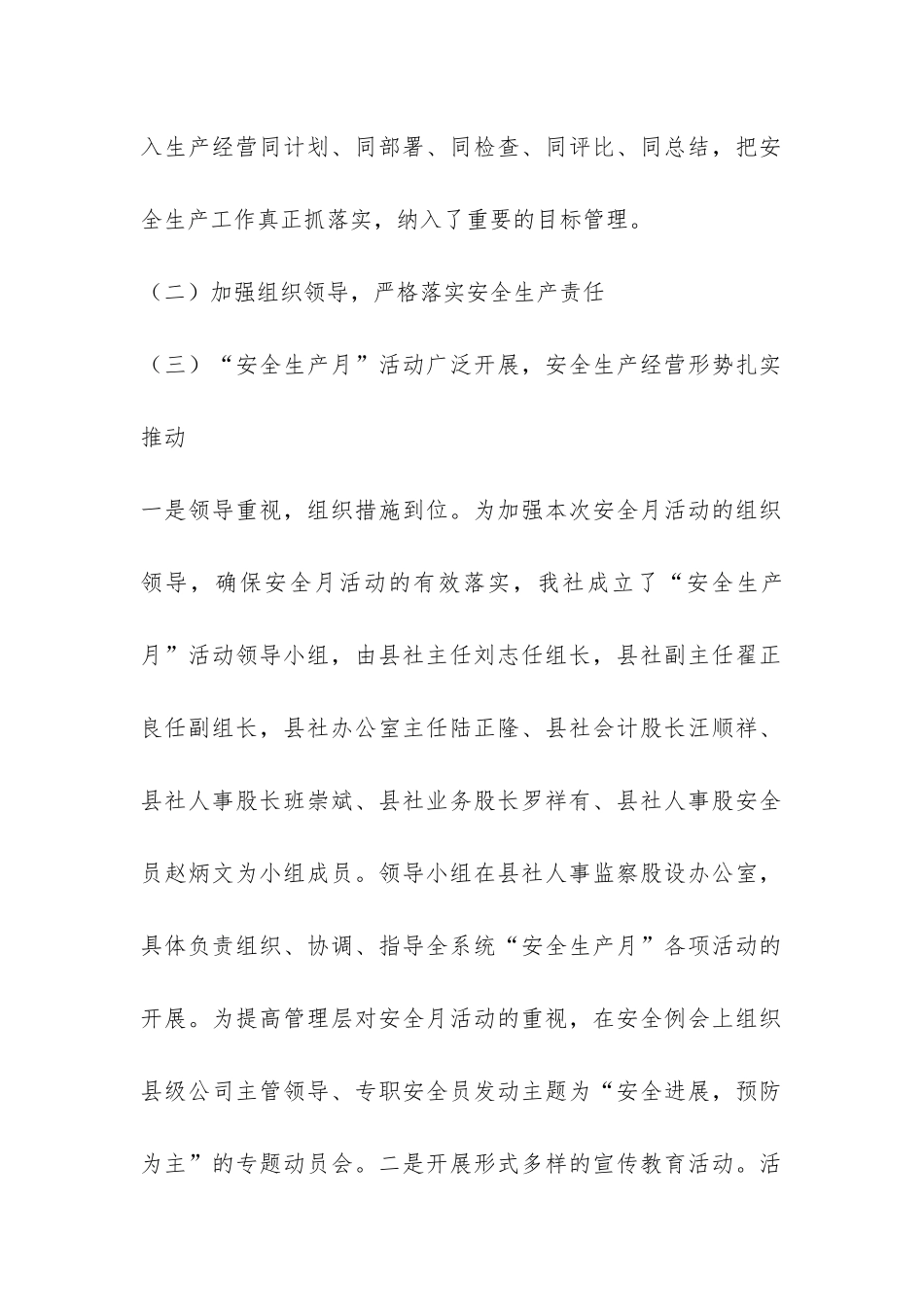 2024年上半年供销社安全生产工作总结_第2页