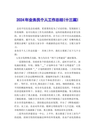 2024年业务员个人工作总结