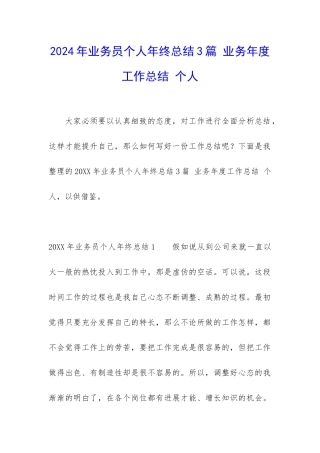 2024年业务员个人年终总结3篇-业务年度工作总结-个人
