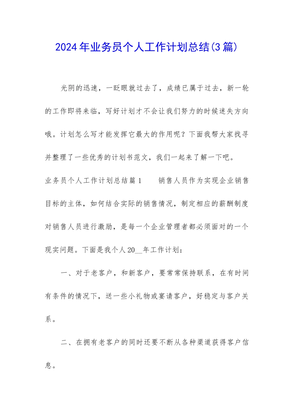 2024年业务员个人工作计划总结_第1页