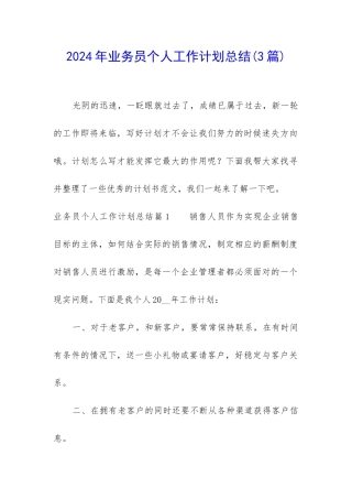 2024年业务员个人工作计划总结
