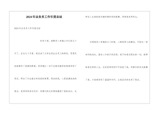 2024年业务员工作年度总结