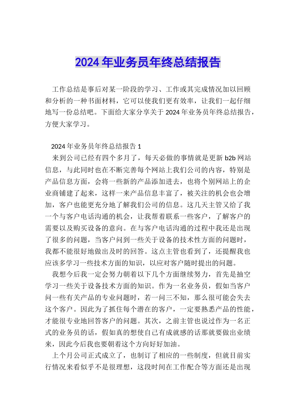 2024年业务员年终总结报告_第1页