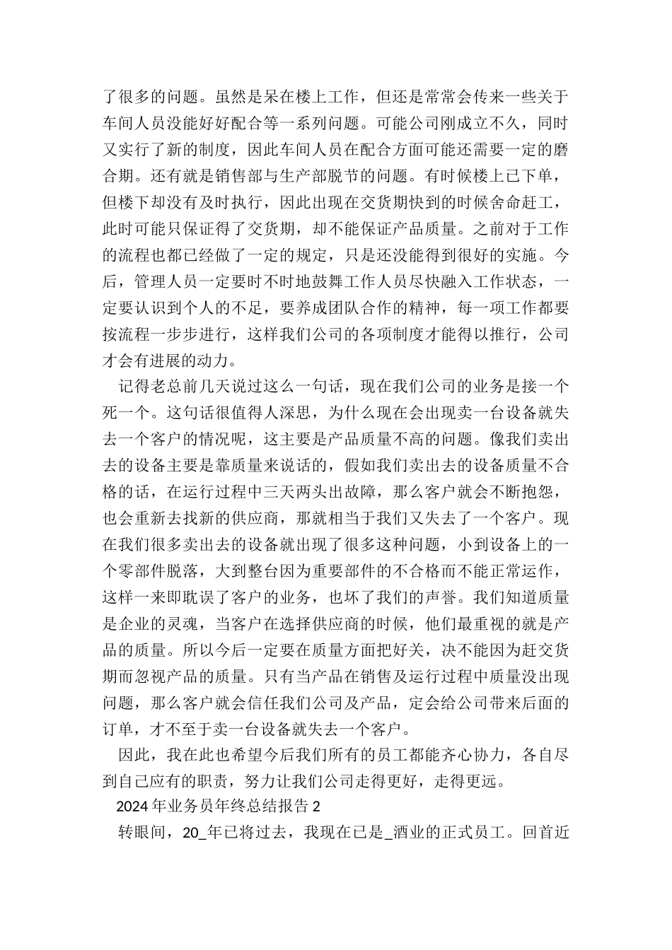 2024年业务员年终总结报告_第2页