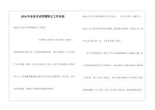 2024年业务员试用期转正工作总结