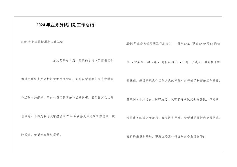 2024年业务员试用期工作总结_第1页