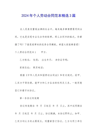 2024年个人劳动合同范本精选3篇