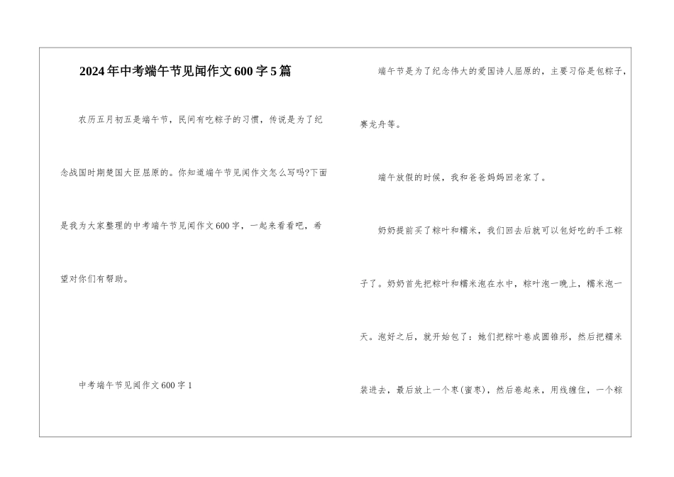 2024年中考端午节见闻作文600字5篇_第1页