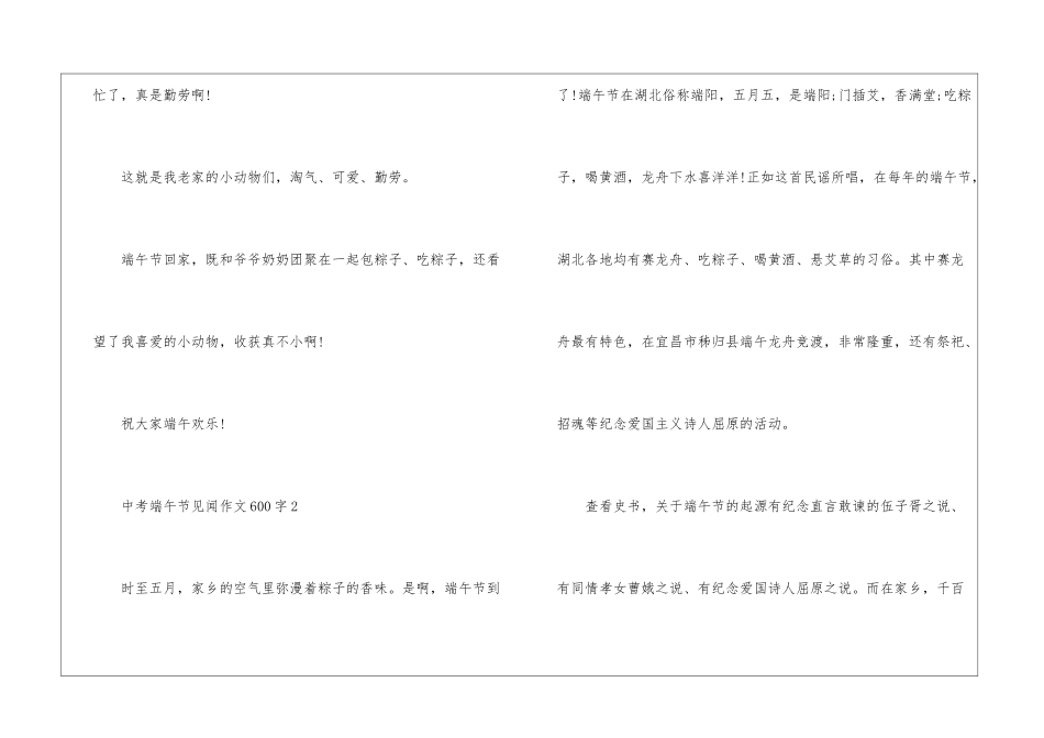 2024年中考端午节见闻作文600字5篇_第3页