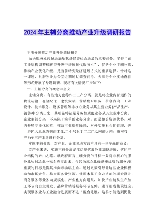 2024年主辅分离推动产业升级调研报告