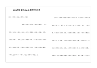 2024年乡镇工业企业调研工作报告