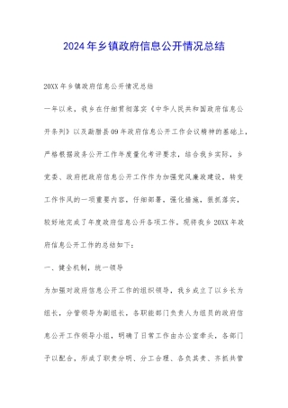 2024年乡镇政府信息公开情况总结-