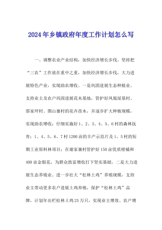 2024年乡镇政府年度工作计划怎么写