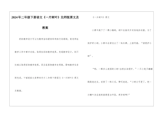 2024年二年级下册语文《一片树叶》北师版原文及教案