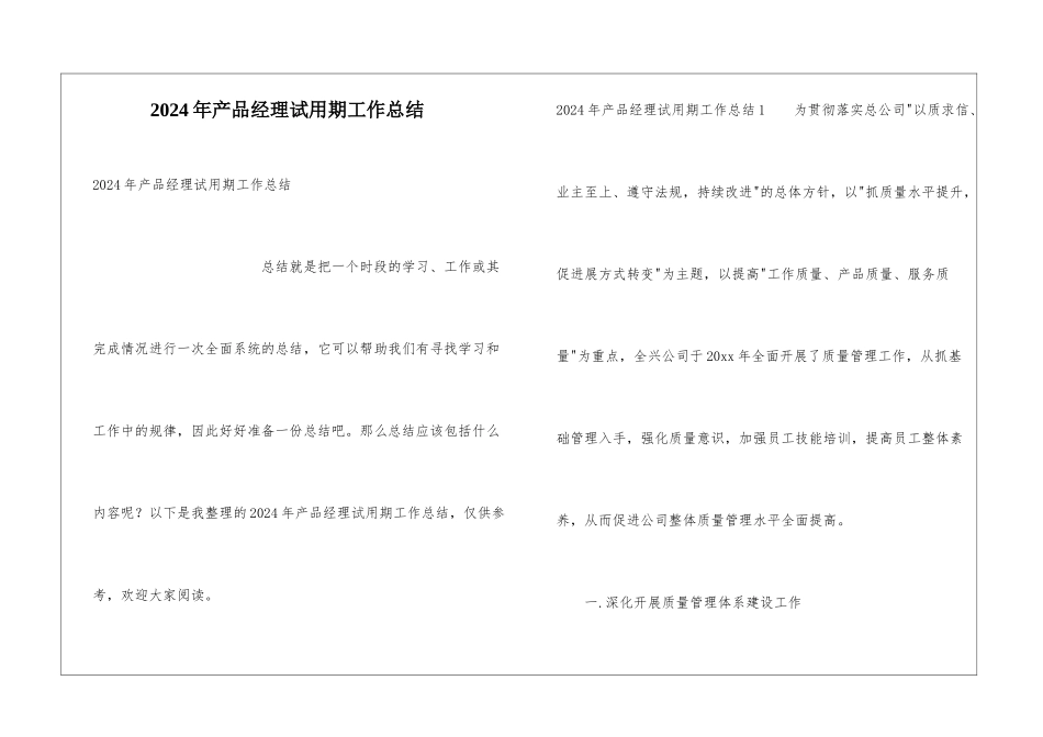 2024年产品经理试用期工作总结_第1页