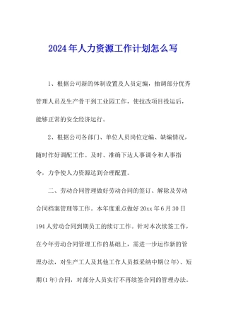 2024年人力资源工作计划怎么写
