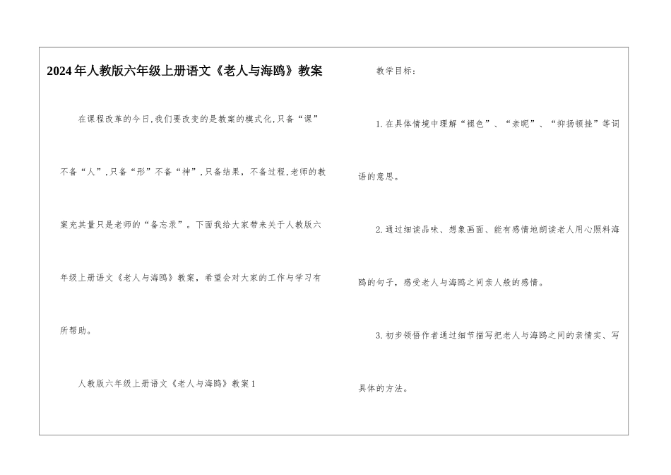 2024年人教版六年级上册语文《老人与海鸥》教案_第1页