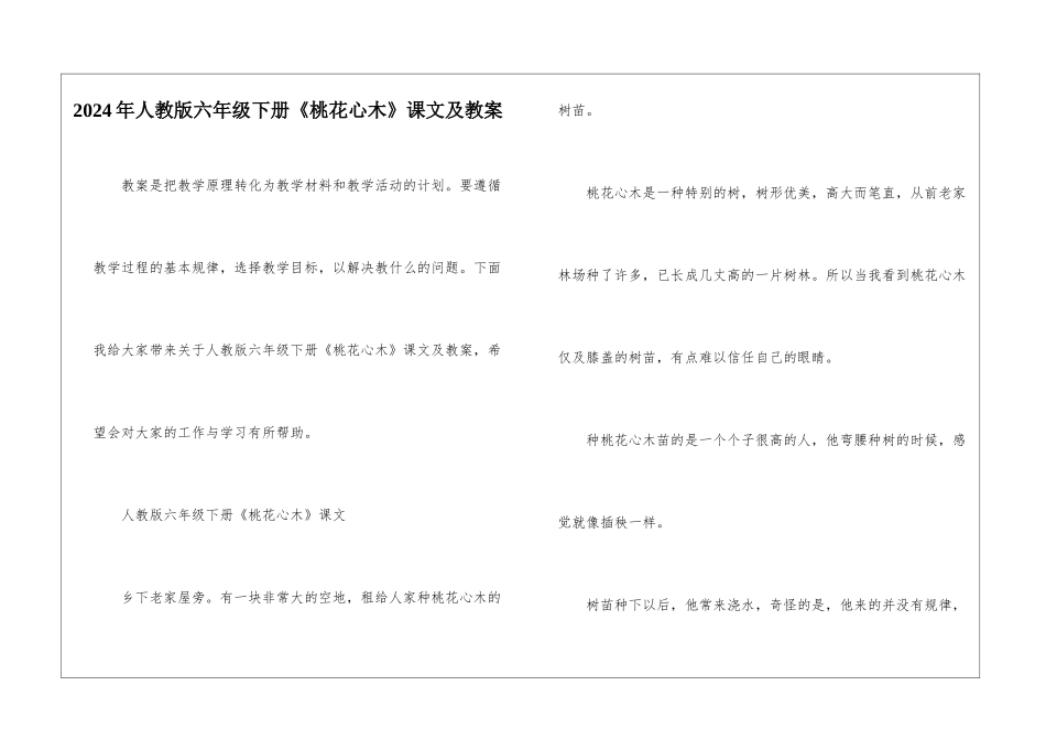 2024年人教版六年级下册《桃花心木》课文及教案_第1页