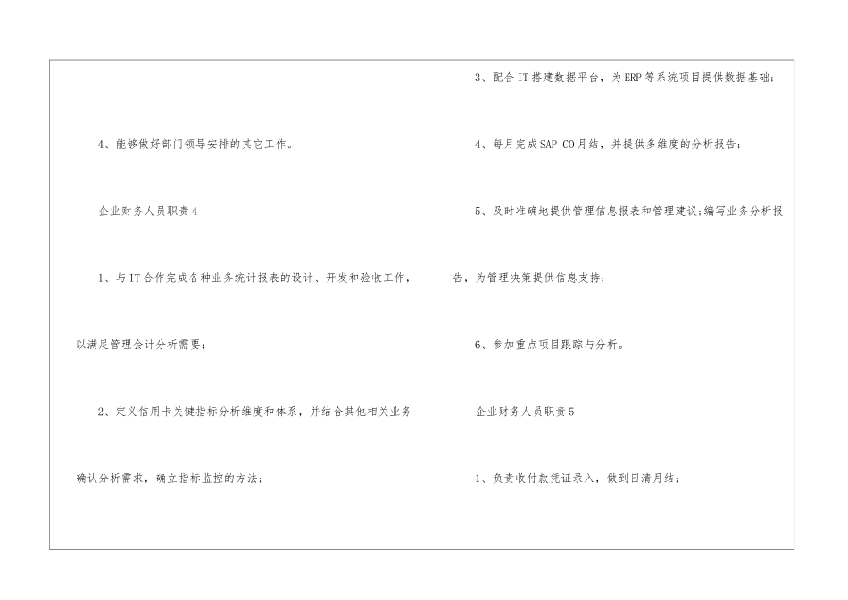 2024年份企业财务人员职责说明_第3页