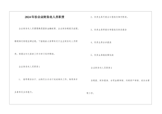 2024年份企业财务处人员职责