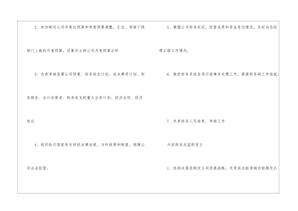 2024年份外派财务总监工作职责说明_第3页