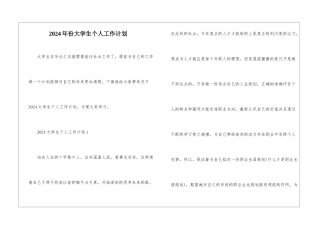 2024年份大学生个人工作计划