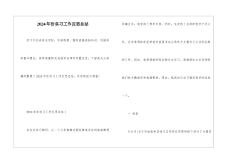 2024年份实习工作反思总结
