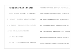 2024年份新员工入职工作心得体会范例