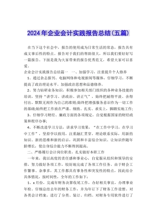 2024年企业会计实践报告总结