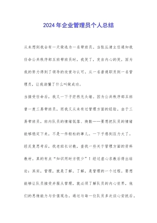 2024年企业管理员个人总结-