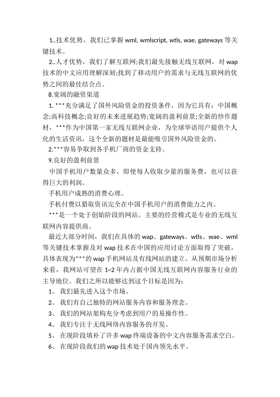 2024年企业网站商业计划书_第2页