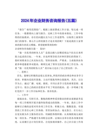 2024年企业财务咨询报告