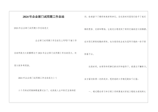 2024年企业部门试用期工作总结