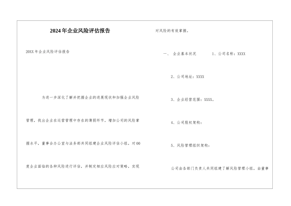 2024年企业风险评估报告_第1页