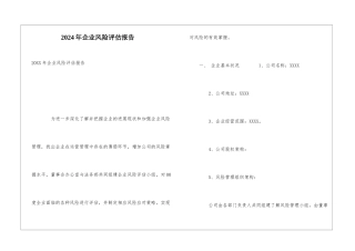 2024年企业风险评估报告