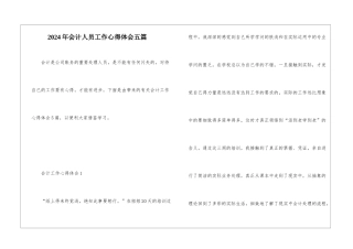 2024年会计人员工作心得体会五篇