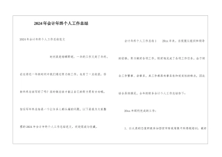 2024年会计年终个人工作总结